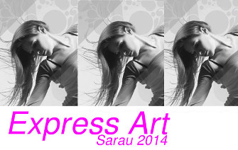 2013 express art noticia