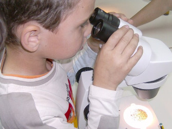 2013 pais com ciencia 04 junho