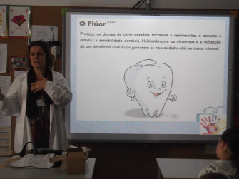 2014 pirlimpimpim