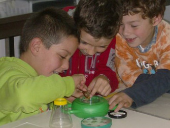 2014 semana ciencia