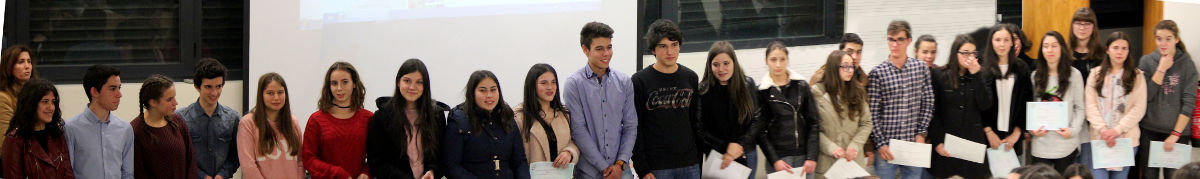 Os diplomados