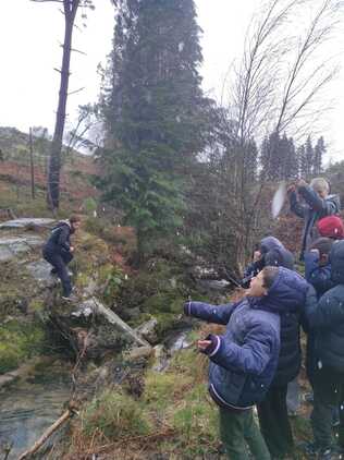 A natureza em sala de aula (Projeto: