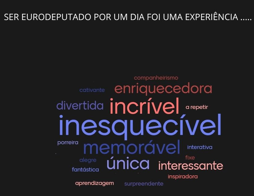 Como foi ser Eurodeputado por um dia? INESQUECÍVEL!