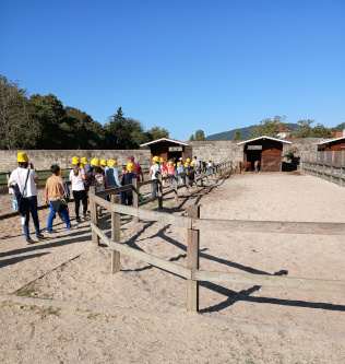 EB/JI de Alvarenga visita Quintãs Farm Houses