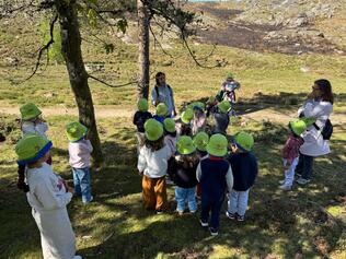 Os segredos do habitat do Melro das Rochas na Serra da Freita