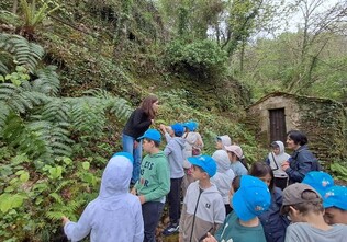 Projeto “BioArte” e concurso “Ilustra a tua escola”: À descoberta da Carqueja e Feto-Botão na EB1 de Arouca